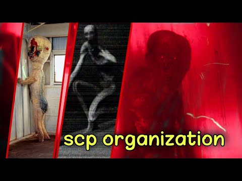 The truth of the scp organization and how it started?