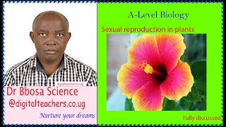 Sexual reproduction in plants (A-level biology)