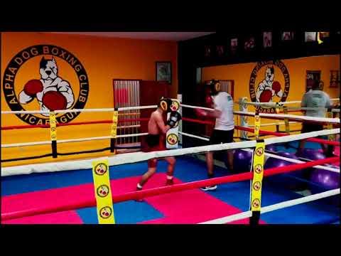 Guanteo: Gabriel Escalante VS Harold Ardon - Alpha Dog Boxing Club / Prodesa Boxing