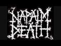 Napalm Death - Constitutional Hell mp3