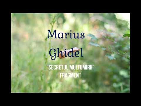 118. SECRETUL MULTUMIRII - MARIUS GHIDEL