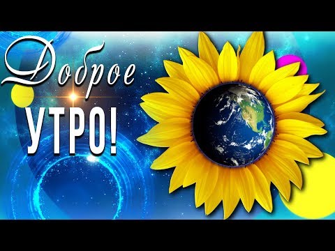 ☀️Доброго утра! Хорошего дня!☀️ Видео для #WhatsApp