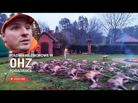 Collective hunting in OHZ