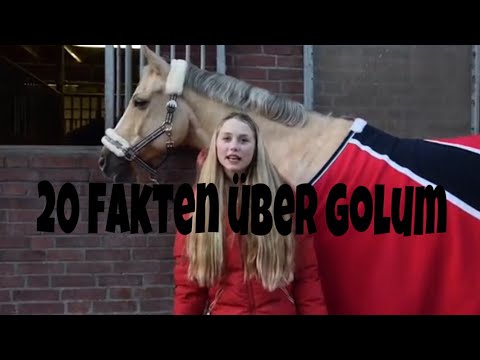 20 FAKTEN ÜBER GOLUM / palomino_golum