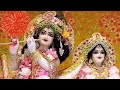 मेरी विनती यही है राधा रानी कृपा बरसाए