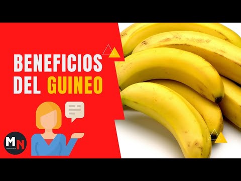 download lagu mp3 mp4 Guineo, download lagu Guineo gratis, unduh video klip Guineo