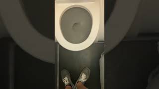 Peeing on the plane 😎🌵#aeroplane #toilet #shorts