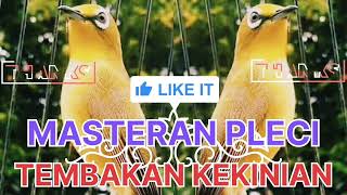 Download lagu Masteran Pleci Tembakan wit wit kenari mp3