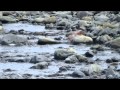 Sinead O'Connor - Drink before the war (part ...