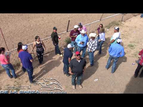 ABIERTA LIBRE EN 350 YDS GANA EL HALCON NEGRO CUADRA LAS LOMAS CARRIL LOS PRIMOS DEXTER NUEVO MEXICO