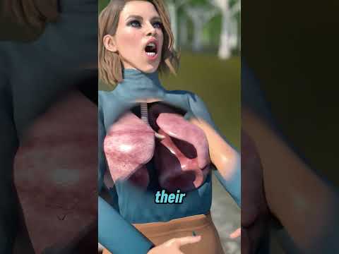 The Sound of Panic Became The Sound of Survival (fiction)