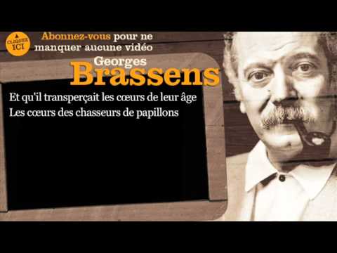 Georges Brassens - La chasse aux papillons - Paroles ( karaoké )