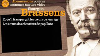 Georges Brassens - La chasse aux papillons - Paroles ( karaoké )