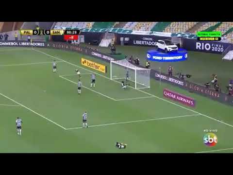 meu palmeiras e bicampeão da libertadores