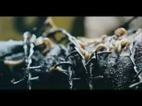 download lagu mp3 mp4 Humator Memories From The Abyss 2009, download mp3 Humator Memories From The Abyss 2009 free downloadn, video klip Humator Memories From The Abyss 2009