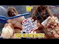WCW Great American Bash 1989 Review Flair Funk Freedom