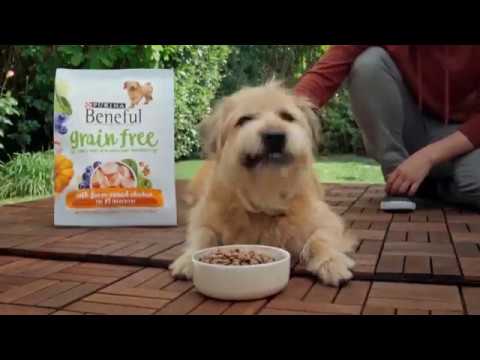 Purina Beneful Grain Free TV Commercial Super Foods