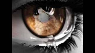 PETER CASE  BLIND LUCK.wmv