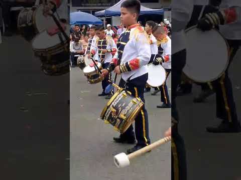Banda musical Valencia Los Rios