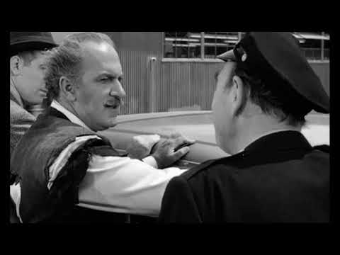 The Absent Minded Professor - I'm Alonzo P  Hawk