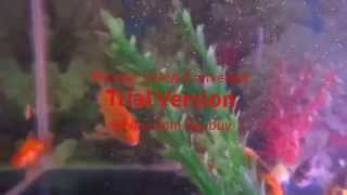 Maejor Ali ft Justin Bieber - All About That Bass (Remix)