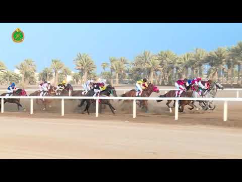 الشوط السابع - السباق الثاني - Race 7 2nd meeting - 27/10/2018