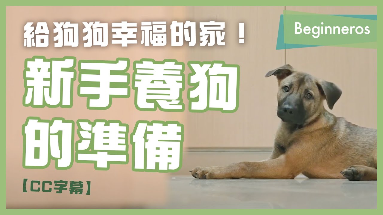 新手養狗的準備教學