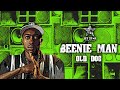 Beenie Man - Old Dog (Official Audio) | Jet Star Music
