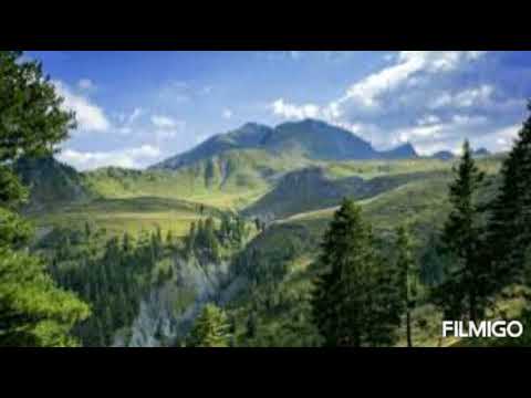 HUTBE Shenjat e Kijametit Hoxhë-Shaban Tolaj (pjesa e parë)