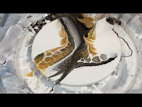 161. Sheleeart Australian Fluid Artist - Black and Gold Surprise