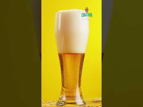 La cerveza mexicana comienza en en el Campo