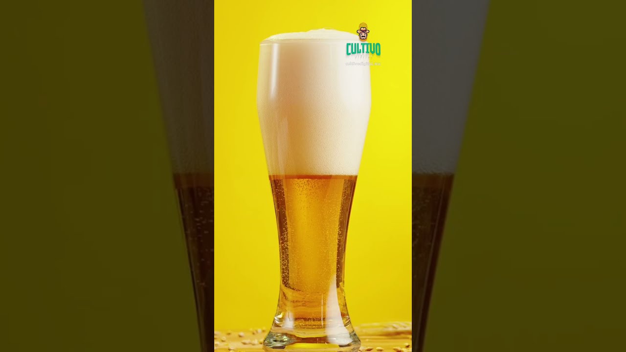 La cerveza mexicana comienza en en el Campo
