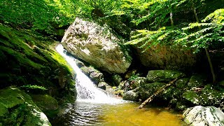 Shenandoah NP Hiking and Camping