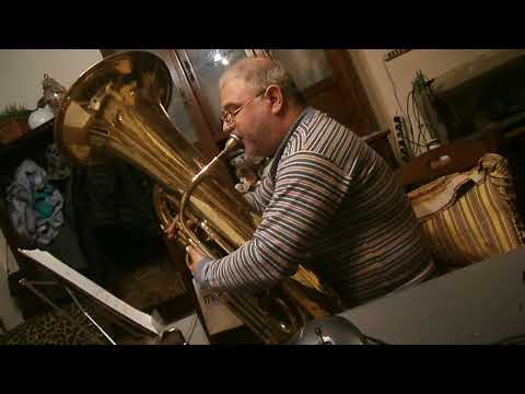lezioni di musica 1 studio marco bordogni al basso tuba