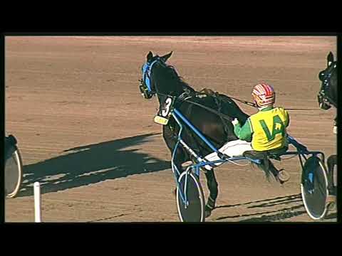 Trotto 18/10/2020 - 8ª corsa