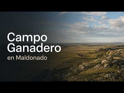 Campo ganadero en venta en Aiguá, Maldonado