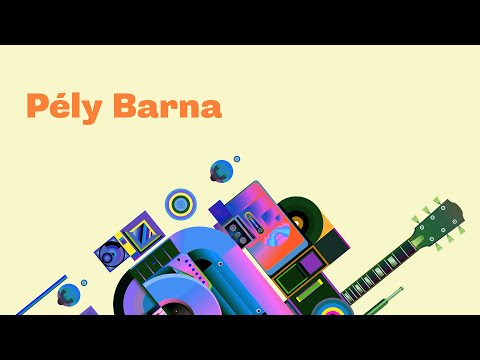 NKA-koncertek az A38 Hajón - Pély Barna