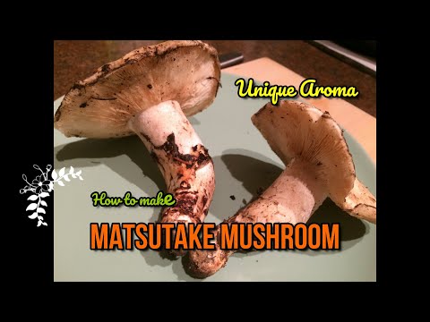 Appetite of Autumn !! Matsutake Mushroom Rice