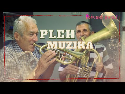 Trubaštvo - Vlaška pleh muzika