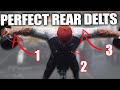 PERFECT Rear Delts | Mike O'Hearn