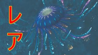 タイリンハナミアゲが捕まらなくて焦る男【モンハンワイルズ　レア環境生物】