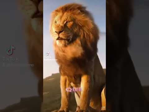 #signoleo #2026 #generalpico #lapampa #paratiiiiiiiiiiiiiiiiiiiiiiiiiiiiiii #enero