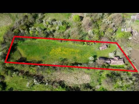 Casa traditionala,zona pitoreasca,domeniu de 3.400 mp,Suveica,Acatari,Mures — Video