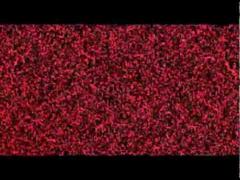 #02 Whisper Trilogy - Technology: Colours of Noise