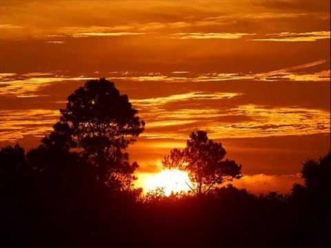 עדי רן- הניגון המושלם .adi ran-hanigun hamushlam