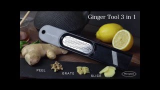 Microplane Ginger Grater Specialties 3-in-1