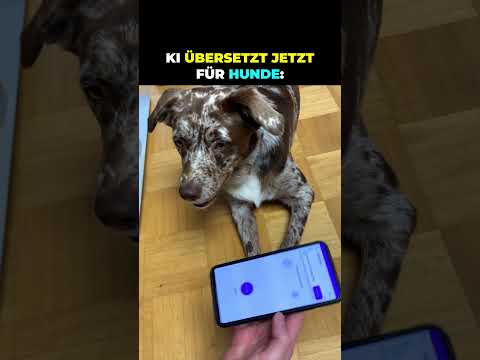 ⚠️ KI: Neue App spricht mit meinem Hund Jacky! 🔊🤯 #ai #hund