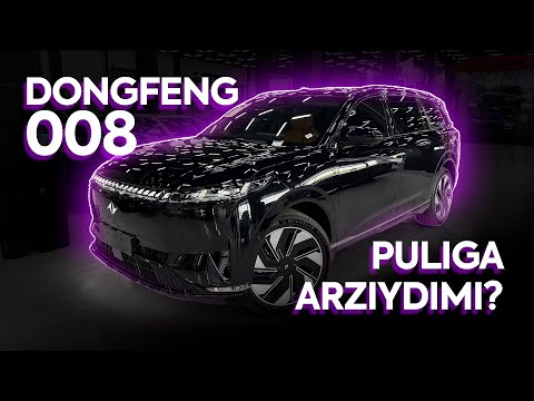DONGFENG 008 - PULIGA ARZIYDIMI?