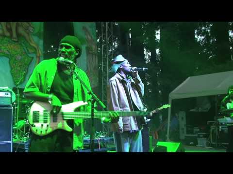 Midnite - Kingdom Trees