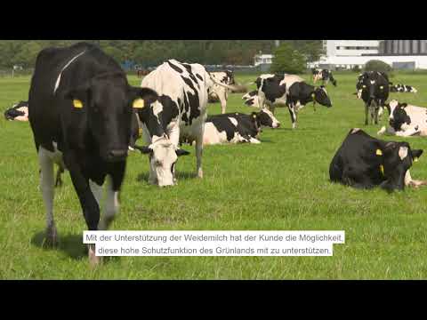 Weidehaltung dient dem Wasserschutz